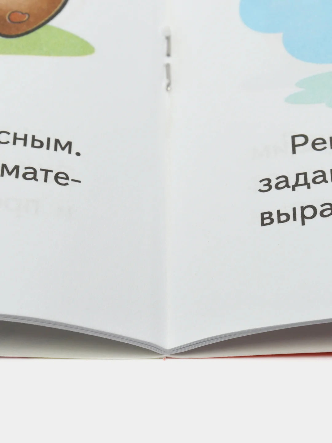 Рабочая тетрадь Я решаю арифметические задачи для детей 5-7 лет. Цветная