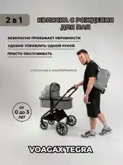Коляска 2в1 Voagax Tegra экокожа