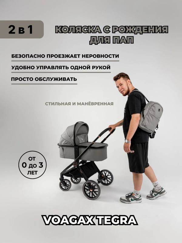 Коляска 2в1 Voagax Tegra экокожа