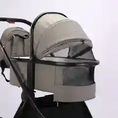 Коляска 2в1 Voagax Tegra экокожа