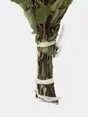 Веник для бани березовый, 1 шт