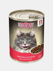 Влажный корм для кошек BIG CAT Мясное ассорти, кусочки в желе, 350г