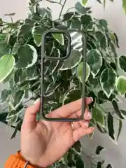 Розовый прозрачный чехол для Apple iPhone 16 Pro / Айфон 16 Про с силиконовым кантом Crystal Case
