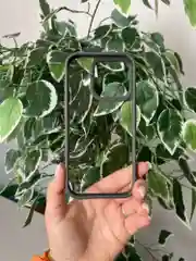 Серый прозрачный чехол для Apple iPhone 16 Pro MAX с силиконовым кантом Crystal Case
