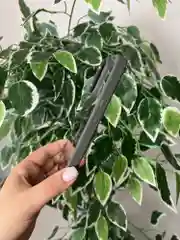 Серый прозрачный чехол для Apple iPhone 16 Pro MAX с силиконовым кантом Crystal Case