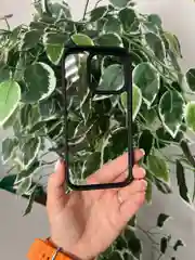 Черный прозрачный чехол для Apple iPhone 16 Pro MAX с силиконовым кантом Crystal Case