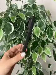 Черный прозрачный чехол для Apple iPhone 16 Pro MAX с силиконовым кантом Crystal Case