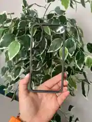 Серый прозрачный чехол для Apple iPhone 16 / Айфон 16 с силиконовым кантом Crystal Case