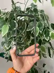 Серый прозрачный чехол для Apple iPhone 16 / Айфон 16 с силиконовым кантом Crystal Case