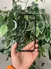 Угольный прозрачный чехол для Apple iPhone 16 / Айфон 16 с силиконовым кантом Crystal Case