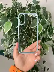 Зеленый прозрачный чехол для Apple iPhone 16 / Айфон 16 с силиконовым кантом Crystal Case