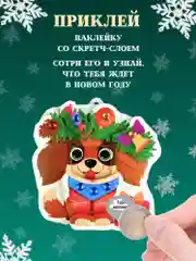 3Д аппликация. Новогодние игрушки с предсказаниями Дрофа-Медиа