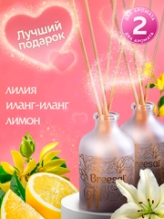Диффузор для дома с палочками, 40мл 2 шт