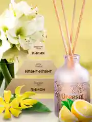 Диффузор для дома с палочками, 40мл 2 шт