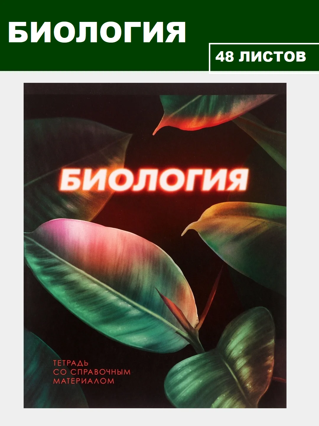 Зеленый тетрадь предметная 48 листов, набор/комплект из 10 тетрадей со справочным материалом