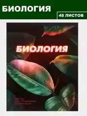 Зеленый тетрадь предметная 48 листов, набор/комплект из 10 тетрадей со справочным материалом