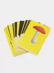 Настольная игра для детей Тарантинки. Кто же я. Серия TomToyer