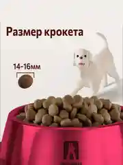 Полнорационный сухой корм Зоогурман BIG DOG Птица MIX, 5 кг