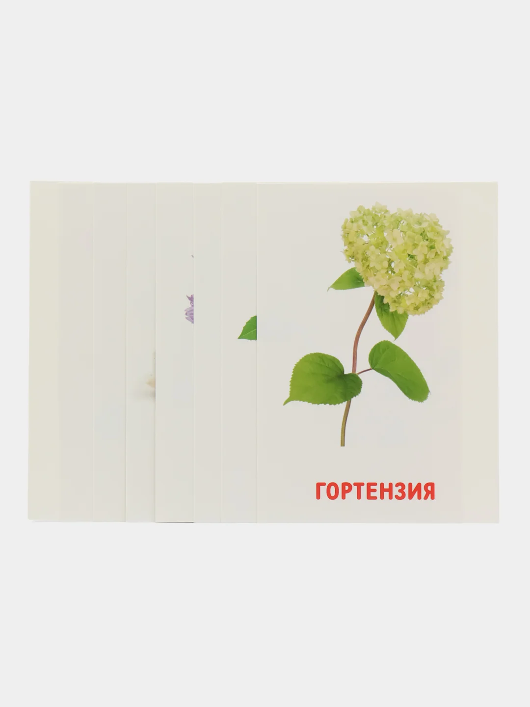 Розовый развивающие обучающие карточки по методике Г. Домана