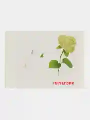 Розовый развивающие обучающие карточки по методике Г. Домана