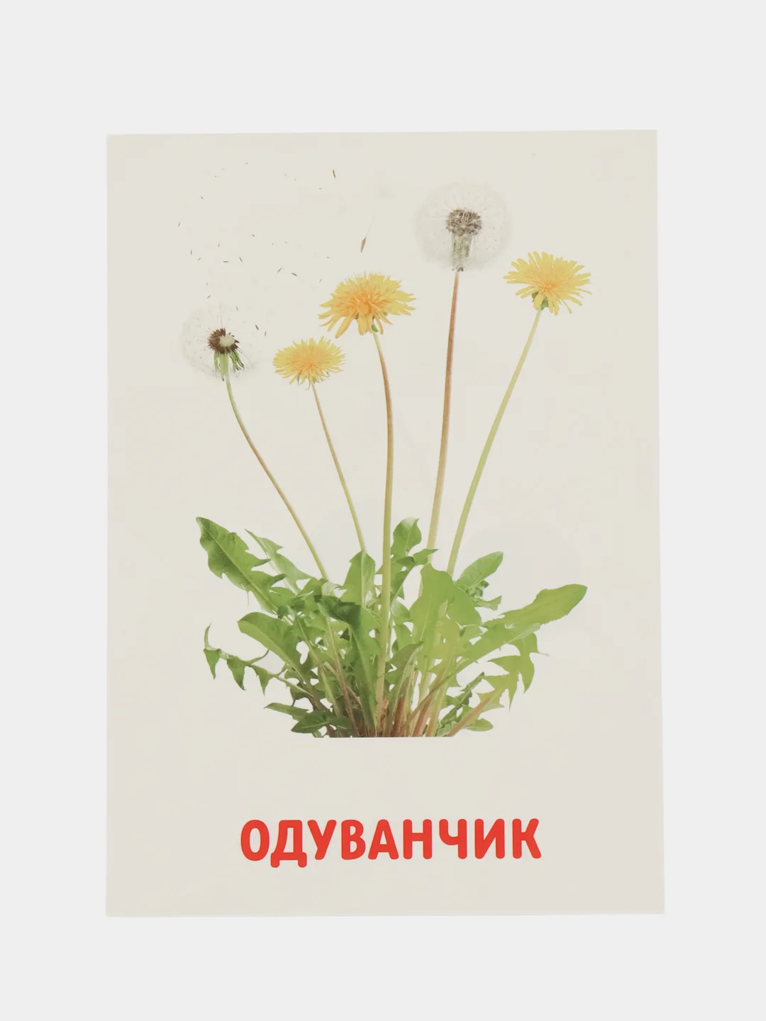 Розовый развивающие обучающие карточки по методике Г. Домана