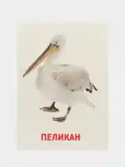 Фиолетовый развивающие обучающие карточки по методике Г. Домана