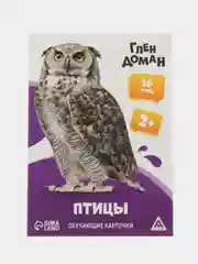 Фиолетовый развивающие обучающие карточки по методике Г. Домана