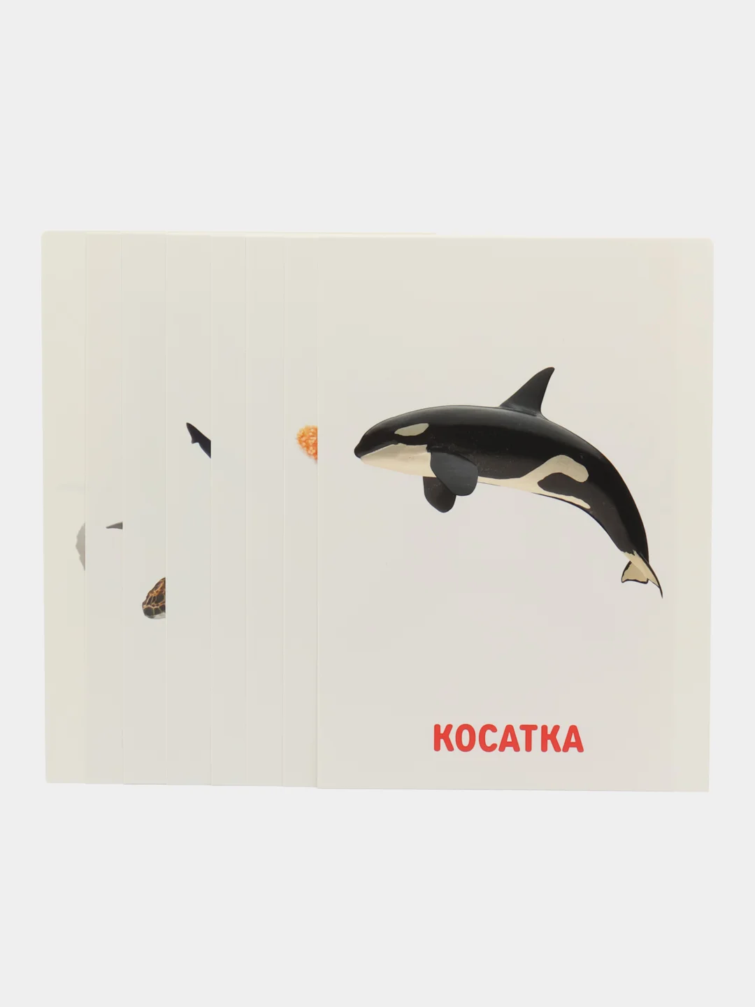 Синий развивающие обучающие карточки по методике Г. Домана