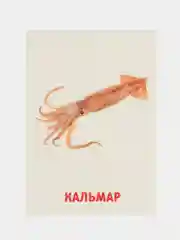 Синий развивающие обучающие карточки по методике Г. Домана