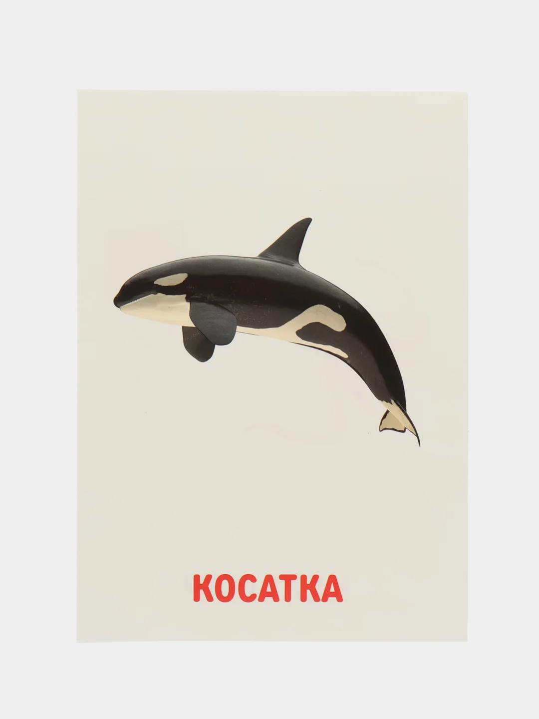 Синий развивающие обучающие карточки по методике Г. Домана