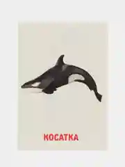 Белый развивающие обучающие карточки по методике Г. Домана