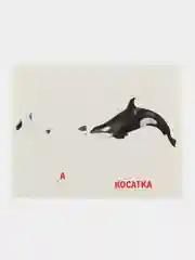 Белый развивающие обучающие карточки по методике Г. Домана
