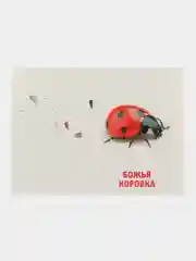 Аметистовый развивающие обучающие карточки по методике Г. Домана