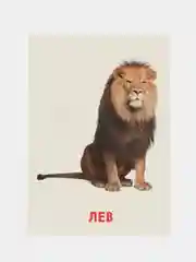 Красный развивающие обучающие карточки по методике Г. Домана