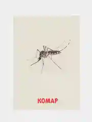 Аметистовый развивающие обучающие карточки по методике Г. Домана