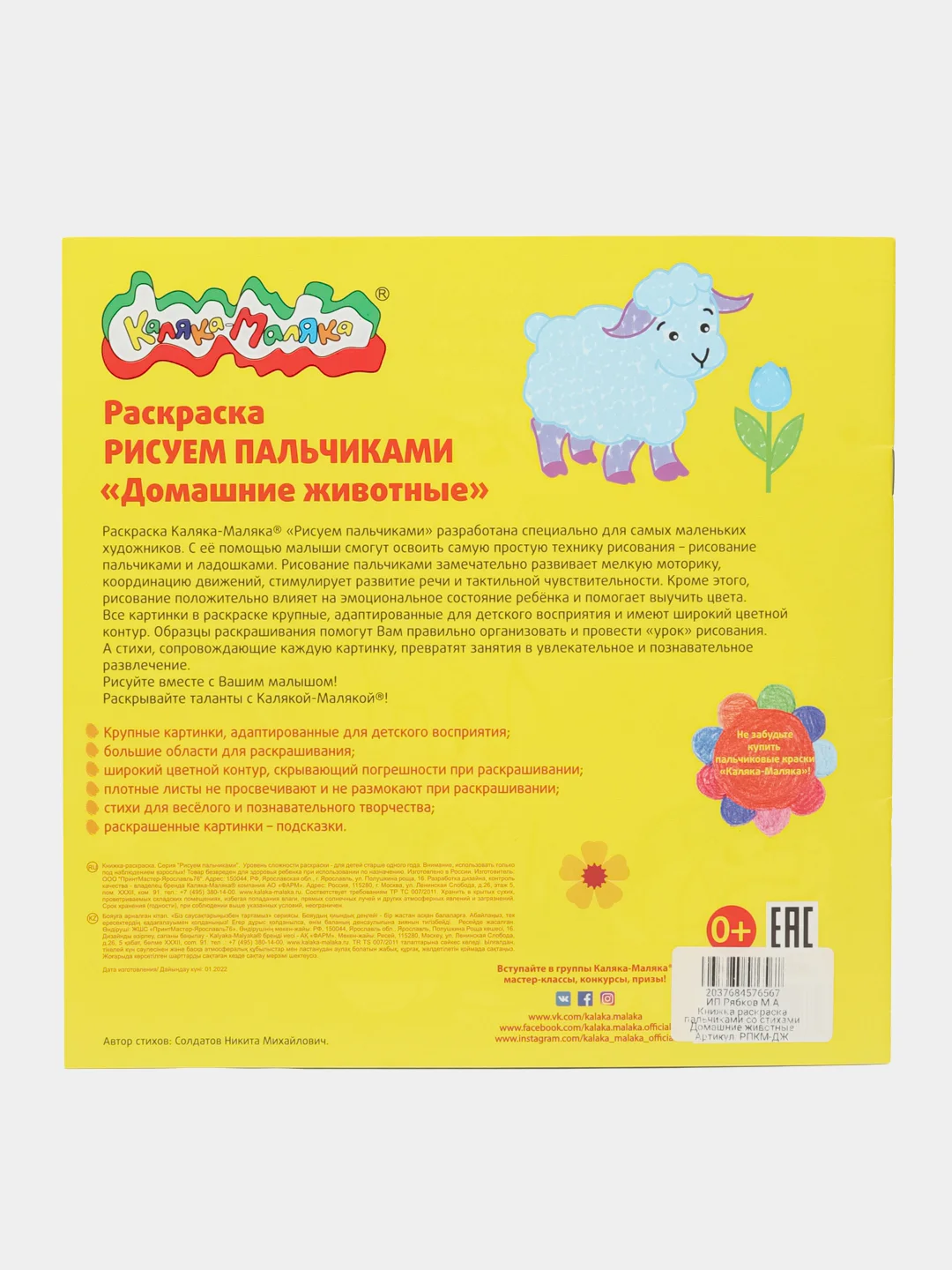 Раскраска Рисуем пальчиками Домашние животные 250х250 мм