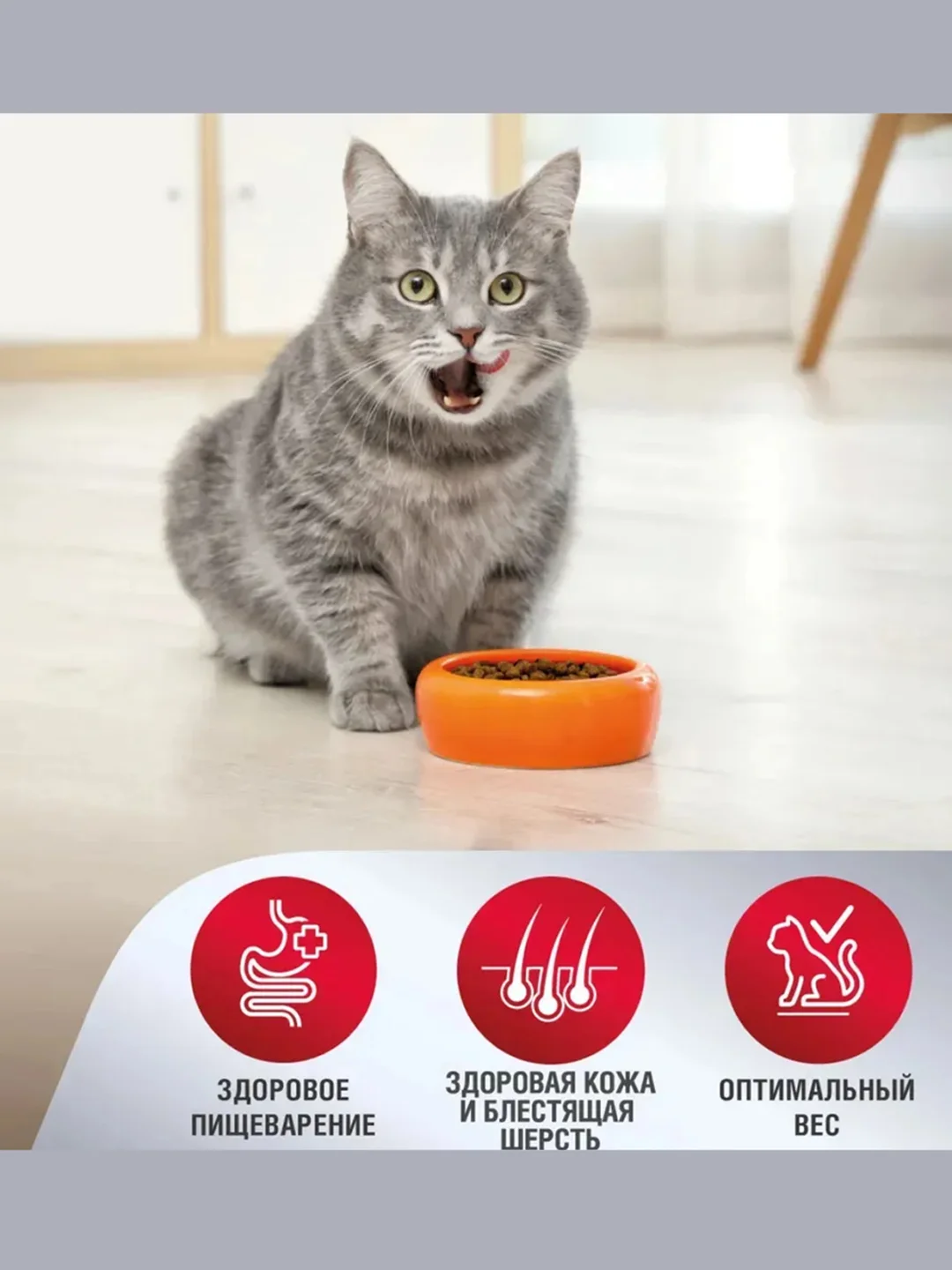 Сухой корм для кошек Зоогурман Supreme,телятина, 10 кг