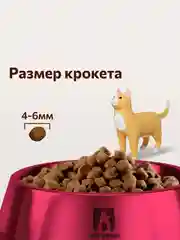 Сухой корм для кошек Зоогурман Supreme,телятина, 10 кг