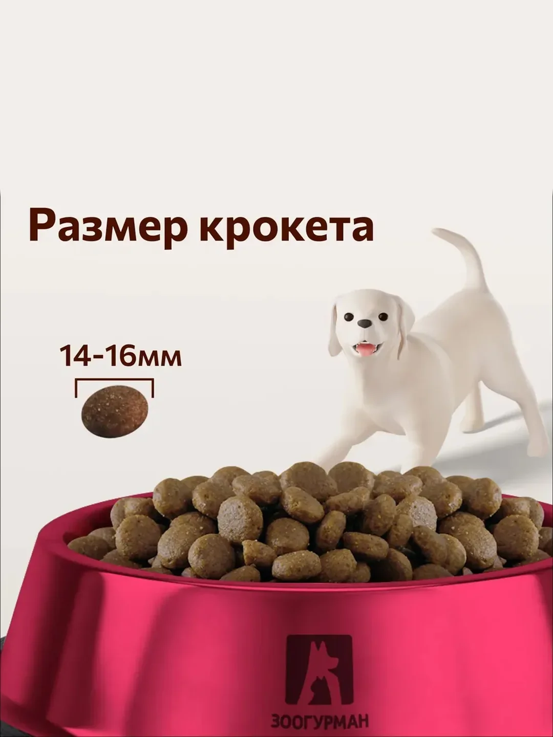 Сухой корм Зоогурман BIG DOG Индейка, для взрослых собак средних и крупных пород, 10 кг