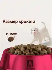 Сухой корм Зоогурман BIG DOG Индейка, для взрослых собак средних и крупных пород, 10 кг