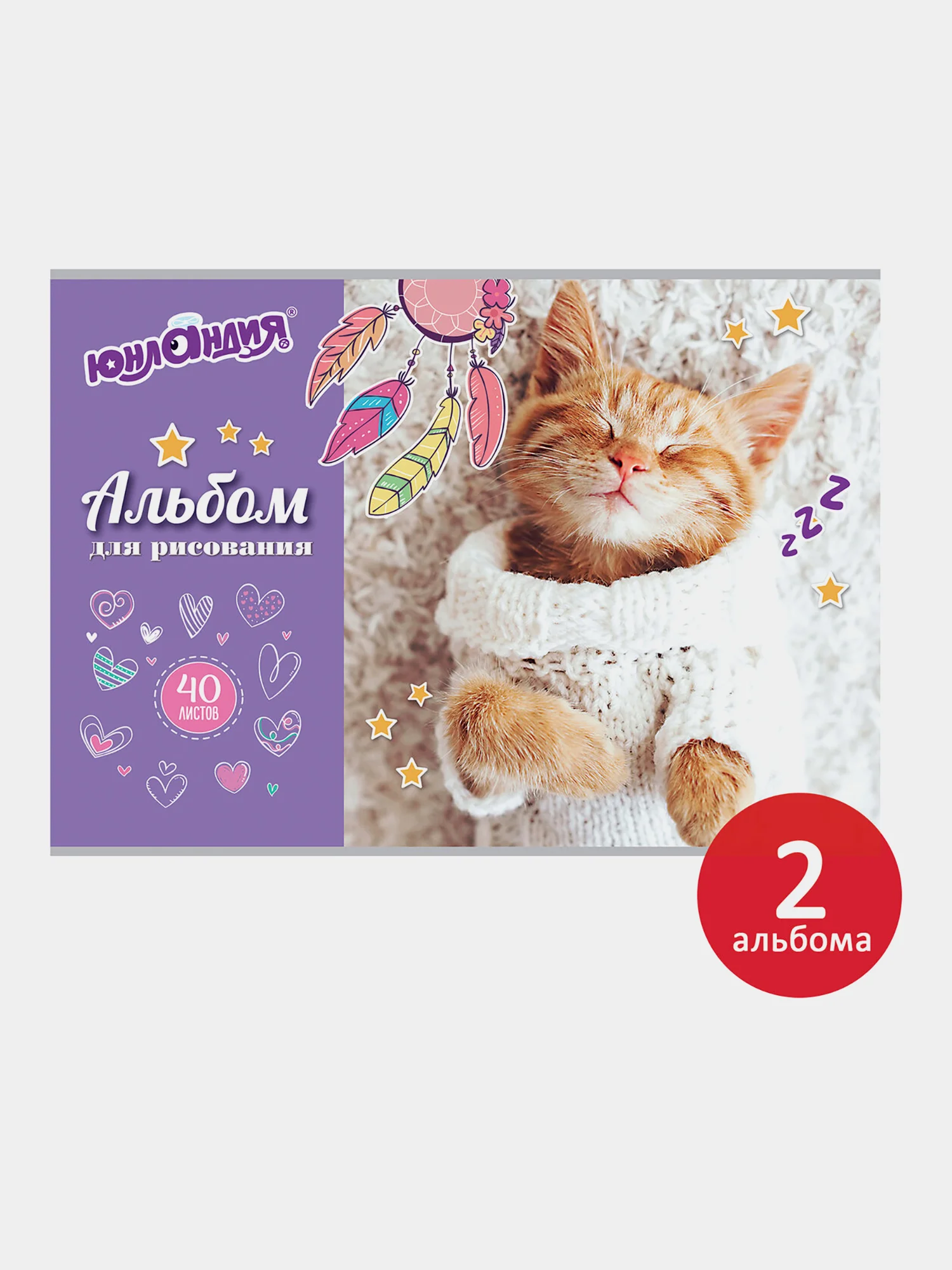 Альбом для рисования для детей А4 40л, Комплект 2 шт, Юнландия, 202х285 мм, Кот в свитере