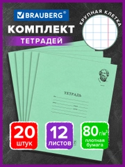 Тетрадь школьная в крупную клетку Brauberg "Великие имена Архимед", 12л, набор 20 шт.