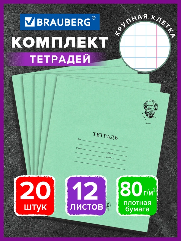 Тетрадь школьная в крупную клетку Brauberg "Великие имена Архимед", 12л, набор 20 шт.