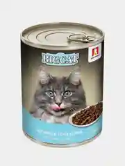 Влажный корм для кошек BIG CAT Говядина, кусочки в желе, 350г