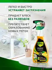 Средство для окон зеркал стекол 450 мл х 2 шт