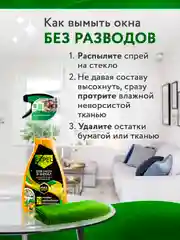 Средство для окон зеркал стекол 450 мл х 2 шт
