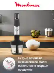 Погружной блендер 4 в 1 Moulinex InfinyForce Pro DD95HD10