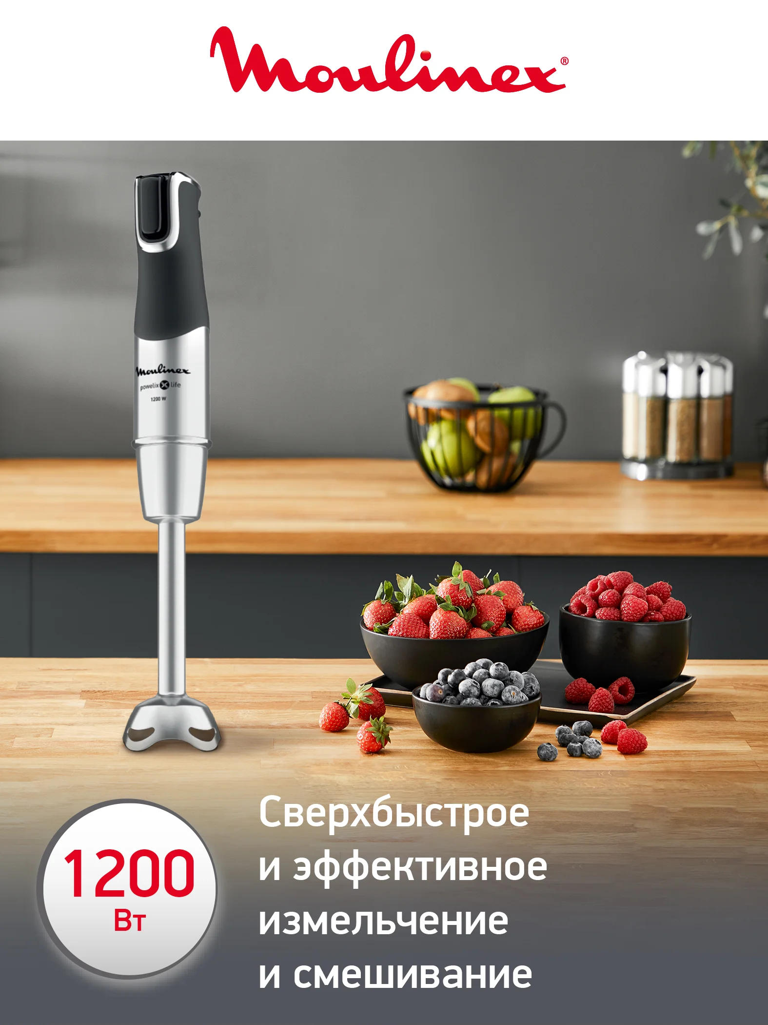 Погружной блендер 4 в 1 Moulinex InfinyForce Pro DD95HD10