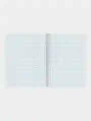 Тетради предметные школьные, в клетку / линейку Комплект 12 Предметов, Marble, 48 л.