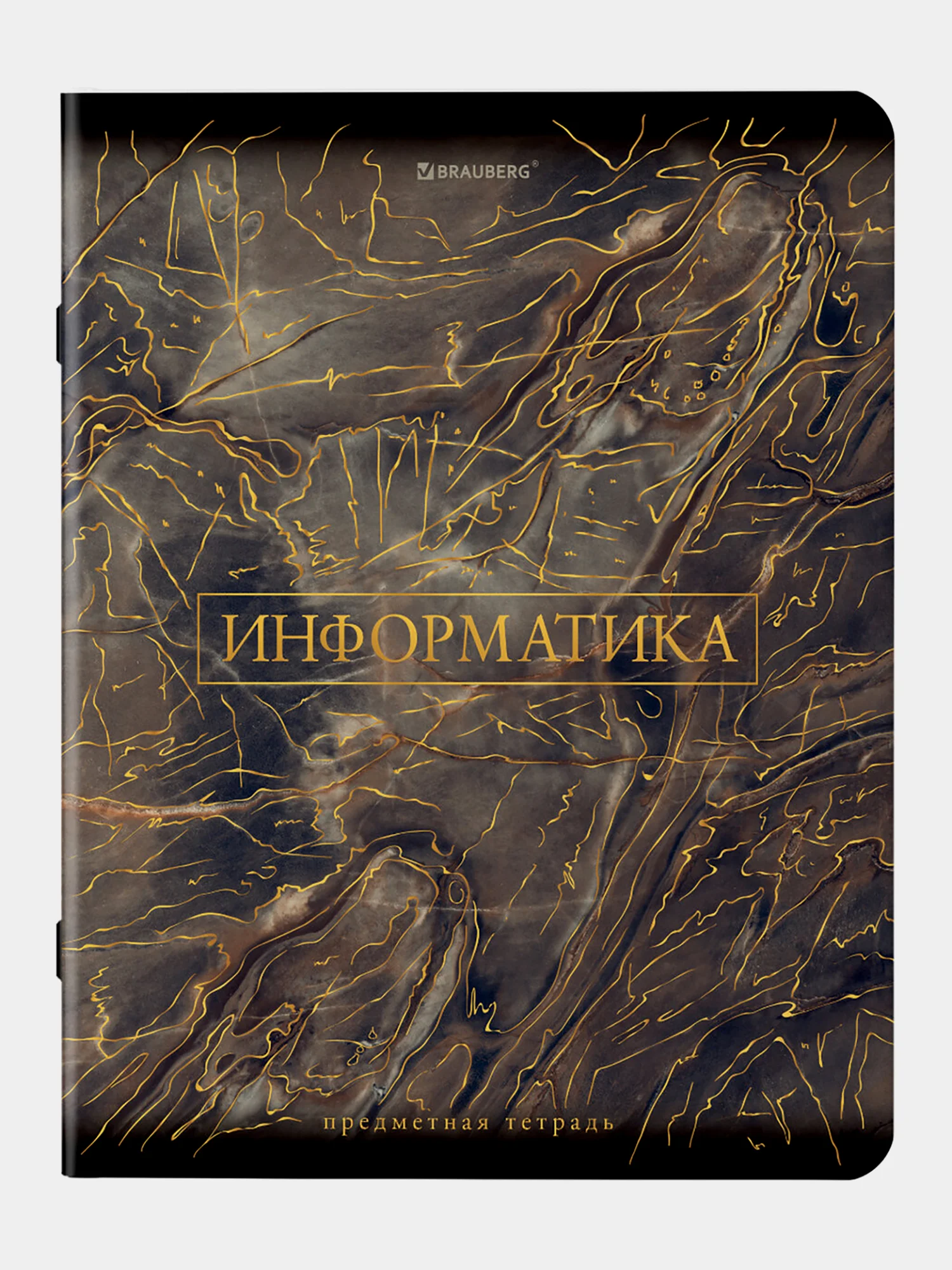 Тетради предметные школьные, в клетку / линейку Комплект 12 Предметов, Marble, 48 л.